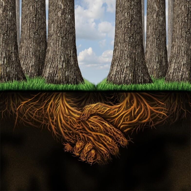 Decorative Tree roots shaking hands.